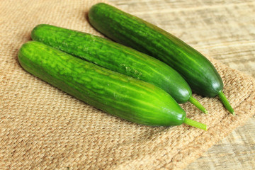  Bright fresh cucumbers lie on a rag bag. Close-up.