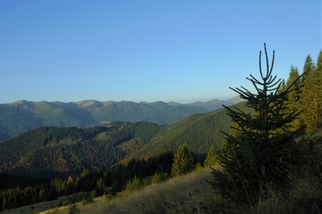  wooded mountainsides