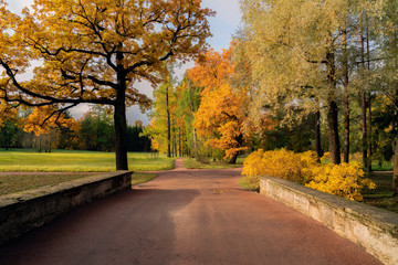 Golden autumn in Catherine Park, Pushkin, St. Petersburg, Russia.