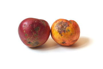 Ugly apples. Two red and yellow spoiled apples isolated on a white background. Trendy ugly food concept. The problem of food waste.