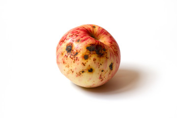 Ugly apple. Red and yellow spoiled apple isolated on a white background. Trendy ugly food concept. The problem of food waste.
