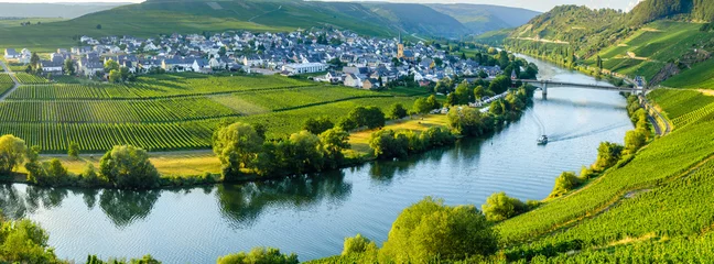 Trittenheim an der Mosel © Hristo G. Siderov