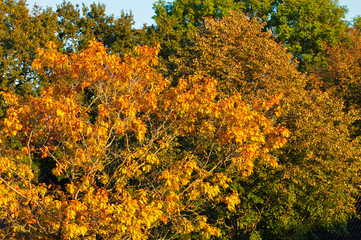 Der Herbst beginnt