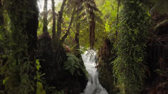 Beautiful waterfall and scenery in New Zealand