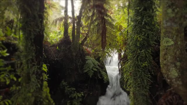 Beautiful waterfall and scenery in New Zealand