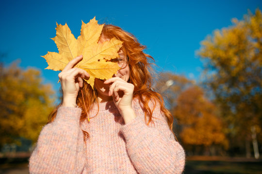 Portraits of a charming red-haired girl with a cute face. Girl posing in autumn park in a sweater and a coral-colored skirt. In the hands of a girl a yellow leaf
