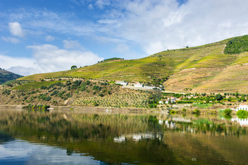 Obraz premium Views of the Portuguese nature