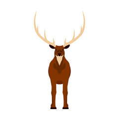 Elk vector illustration icon front view. Wildlife deer mammal art nature with horn. Antler head cartoon forest fauna zoo