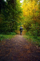 Obraz premium A man with backpack walks in the amazing autumn forest. Hiking alone along autumn forest paths. Travel concept.