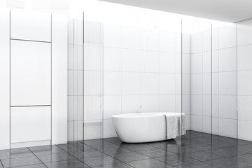 Fototapeta na wymiar White tile and glass bathroom corner