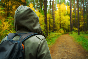 A man with backpack walks in the amazing autumn forest. Hiking alone along autumn forest paths. Travel concept.