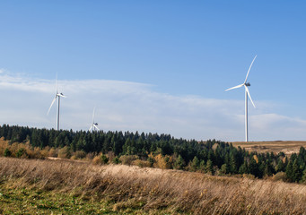 wind turbines in the field