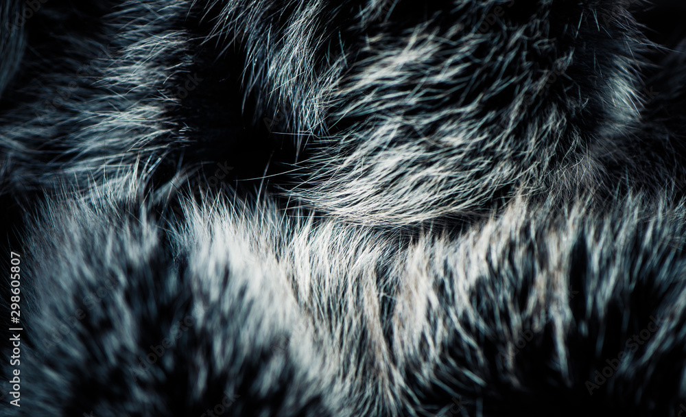 Wall mural abstract fur surface with shapes and reflection over texture
