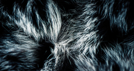 abstract fur surface with shapes and reflection over texture