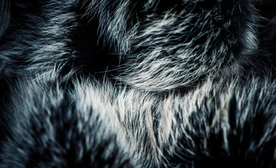 abstract fur surface with shapes and reflection over texture