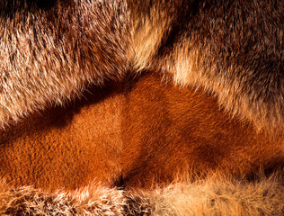 natural fox fur texture with shape beetween wool