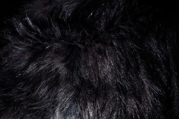 natural black soft fur tecture with reflections over surface closeup