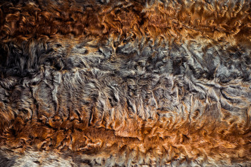 abstract multicolor fur texture with reflecttion over wool surface