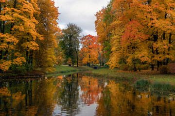 Fototapeta premium Golden autumn in Catherine Park, Pushkin, St. Petersburg, Russia.