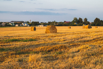 Rolled haystack. hay bale. agriculture field with sky. rural landscape. straw on the meadow. harvest in summer