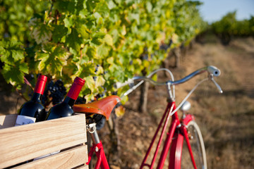 Vélo rouge dans les vignes en France et bouteilles de vins