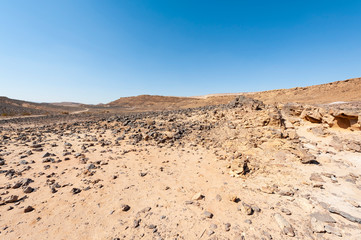 Negev Desert in Israel