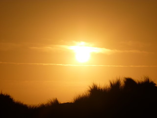 sunset in sand dunes
