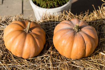 Autumn composition in the streets.