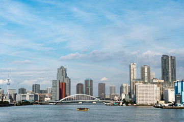 Obraz premium 東京都港区竹芝から見た東京の景色