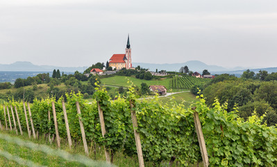 Summer landscape with Church of St. Peter near Maribor, Slovenia.