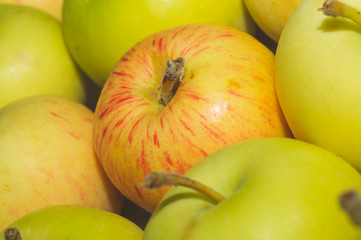 Many apples background. fresh fruits. healthy food. vegetarian nutrition