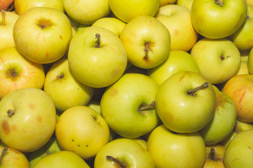 Many apples background. fresh fruits. healthy food. vegetarian nutrition