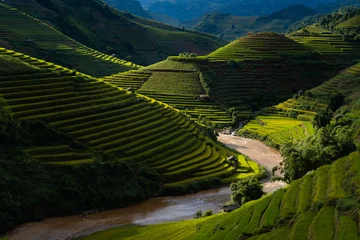 Fotobehang Mu Cang Chai Rice terrace, harvest season in Mu Cang Chai, Yen Bai Province, Vietnam
