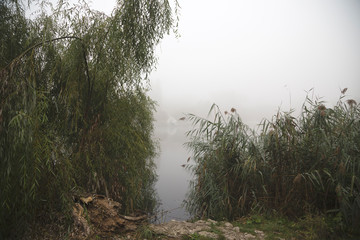Obraz na płótnie Canvas Early fog on the water.