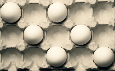 White eggs in carton box background. food ingredient. protein nutrition. healthy breakfast