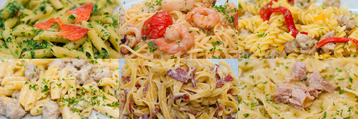 Collage, delicious Italian pasta with cheese, meat and sausage, tomato sauce, red fish or salmon, spinach, midi and shrimp.