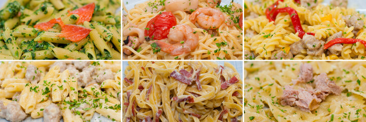 Collage, delicious italian traditional food pasta with cheese, meat and sausage, tomato sauce, red fish or salmon, spinach, midi and shrimp.