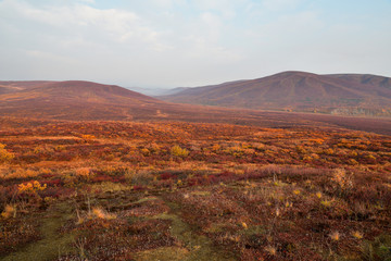 Morning foggy landscape in autumn time Alaska