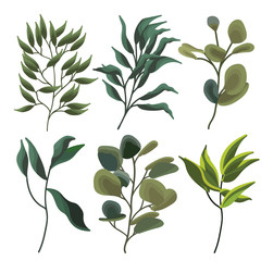 Big Set watercolor elements - wildflowers, herbs, leaf. collection garden and wild, forest herb,  flowers, branches. illustration isolated on white background, exotic leaf