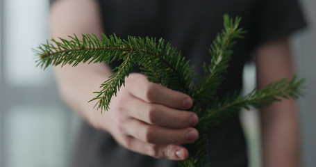 young man show green spruce twig