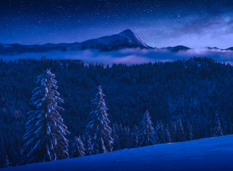 Valley covered with hoar frost at night