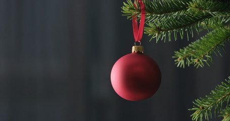 red chrismas ball on a spruce branch indoor