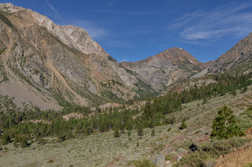 scenic view of Lee Vining creek valley in western Sierra Nevada from Tioga Road (Mono County, California)