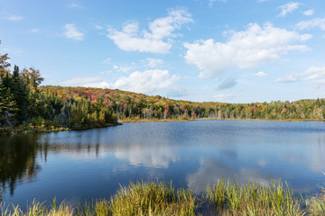 Lake and autumn forest landscape. La Mauricie National Park. Quebec. Canada