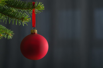 Red christmas ball hanging on spruce tree indoor with copy space