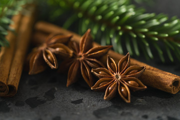 closeup of spruce twig with cinnamon and anise on terrazzo countetop