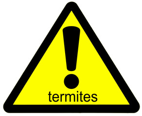 termites danger