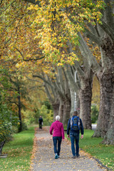 Obraz premium Spaziergang im Herbst