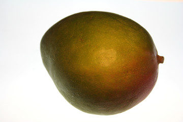 mangue