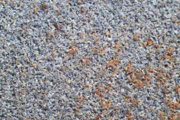 Photo Texture of fine gravel, sand. Background for design.